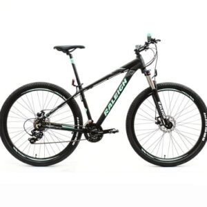 BICICLETA   RALEIGH 2.0 R29 - 15¨