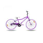 BICICLETA NEWTON ROD 24 NENA