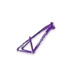 CUADRO ABSOLUT BRUTUS ROD 26 VIOLETA