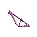 CUADRO NINJA STUNT ROD 26 VIOLETA